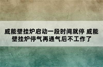 威能壁挂炉启动一段时间就停 威能壁挂炉停气再通气后不工作了